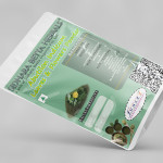 Abutilon Indicum Leaves and Flower Powder | Kanghi | Athibala