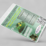 Abutilon Indicum Whole Plant Powder | Kanghi | Athibala