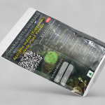 Acalypha Indica Whole Plant Powder | Kuppamani Whole Plant Powder | Kuppamani Powder | Harita Manjari