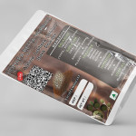 Albizia Lebbeck Bark Powder | Sirisha | Bilwara