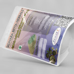 Albizia Lebbeck Leaves Powder | Sirisha | Bilwara