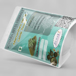 Alternanthera Sessilis Leaves Powder | Sessile Joyweed | Matsyakshi