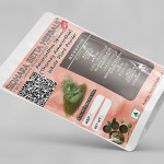 Amaranthus Spinous Whole Plant Powder | Tanduliyaka | Thorney Amaranthus