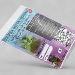 American Basil Whole Plant Powder | Gambhira Kshudraparna | Nai Thulasi | Kukka Thulasi