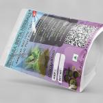 American Basil Whole Plant Powder | Gambhira Kshudraparna | Nai Thulasi | Kukka Thulasi