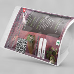 Asteracantha Longifolia Root Powder | Kokilaksha Root | Iksura Root