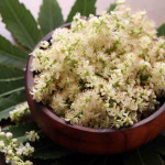 Azadirachta Indica Flower Powder | Neem Flower Powder | Nimba | Veppu | Bevina Huva