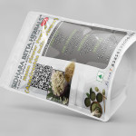 Azadirachta Indica Flower Powder | Neem Flower Powder | Nimba | Veppu | Bevina Huva