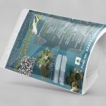 Bacopa Monniera Whole Plant Powder | Jala Brahmi | Nirabrahmi