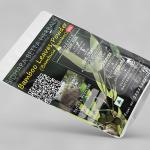 Bamboo Leaves Powder | Bambusa Bambos Leaves Powder