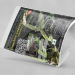 Bamboo Leaves Powder | Bambusa Bambos Leaves Powder