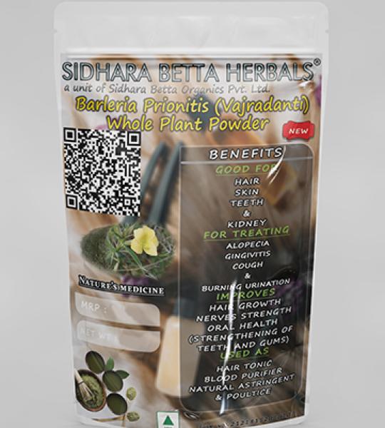 Barleria Prionitis Whole Plant Powder | Vajradanti Powder