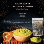 Barleria Prionitis Whole Plant Powder | Vajradanti Powder