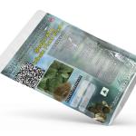 Basella Alba | Malabar Spinach Whole Plant Powder