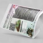Boerhavia Diffusa Whole Plant Powder | Punarnava | Gadahpurna