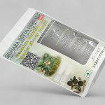 Canthium Parviflorum Tender Shoots Powder | kaarai Leaves Powder | Gangeruki | Kirma | Kadbar