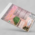 Carica Papaya Leaves Powder | Eranda karkati | Papaya Leaves Powder | ಪಪ್ಪಾಯಿ ಎಲೆ