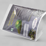 Cassia Auriculata Leaves Powder | Thangadi Leaves Powder | Avartaki | Tarwar | Senna Auriculata