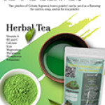 Celosia Argentea Leaves Powder | Anne | Mayurasikha | Rudrajata