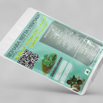 Celosia Argentea Leaves Powder | Anne | Mayurasikha | Rudrajata