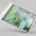 Cinnamomum Tamala Leaves Powder | Tamalpatra | Bay Leaf