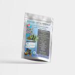 Cissus Quadrangularis Plant Powder | Hadjod | Asthisamharaka