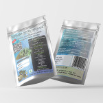 Cissus Quadrangularis Plant Powder | Hadjod | Asthisamharaka