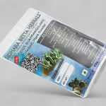 Cissus Quadrangularis Plant Powder | Hadjod | Asthisamharaka