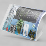 Cissus Quadrangularis Plant Powder | Hadjod | Asthisamharaka