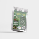 Clerodendron Serratum Aerial Parts Powder | Bharangi Aerial Part Powder | Kharasakha | Cheruthekk