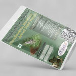 Clerodendron Serratum Aerial Parts Powder | Bharangi Aerial Part Powder | Kharasakha | Cheruthekk