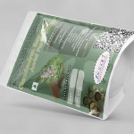 Clerodendron Serratum Aerial Parts Powder | Bharangi Aerial Part Powder | Kharasakha | Cheruthekk