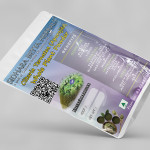 Clitoria Ternatea Whole Plant Powder | Aparajita | Adrikarni | Girikarnika