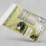 Coccinia Grandis Aerial Part Powder | Bimbika | Thonde | Kovai