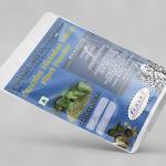 Cocculus Hirsutus Whole Plant Powder | Broom Creeper | Patalagarudi | Jaljamni | Dagadi Balli Powder | Dagadi