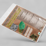 Colocasia Esculenta Leaves Powder | Taro | Kesavu