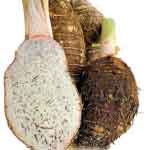 Colocasia Esculenta Roots Powder | Taro | Kesavu | Taro corms powder