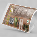 Colocasia Esculenta Stem Powder | Taro | Kesavu