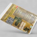 Dalbergia Sissoo Leaves Powder | Shisham Leaves Powder | Shinshapa