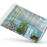 Eclipta Alba whole plant powder | Bhringaraj | White flower