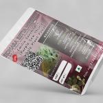 Emilia Sonchifolia Whole Plant Powder | Ilikivi Powder | Purple Sow Thistle