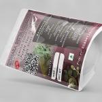 Emilia Sonchifolia Whole Plant Powder | Ilikivi Powder | Purple Sow Thistle