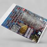 Erythrina Variegata Bark Powder | Tiger's Claw Bark Powder | Indian Coral Tree Bark Powder | Paribhadra