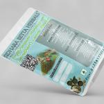 Erythroxylum Monogynum Leaves Powder | Javadhari | Devataru