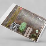 Euphorbia Hirta Whole Plant Powder | Asthma Plant Whole Plant Powder | Dugdhika | Ksira