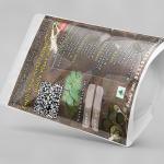 Euphorbia Hirta Whole Plant Powder | Asthma Plant Whole Plant Powder | Dugdhika | Ksira