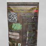 Euphorbia Hirta Whole Plant Powder | Asthma Plant Whole Plant Powder | Dugdhika | Ksira