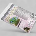 Evolvulus Alsinoides Whole Plant Powder | Shankhapushpi | Vishnukranthi