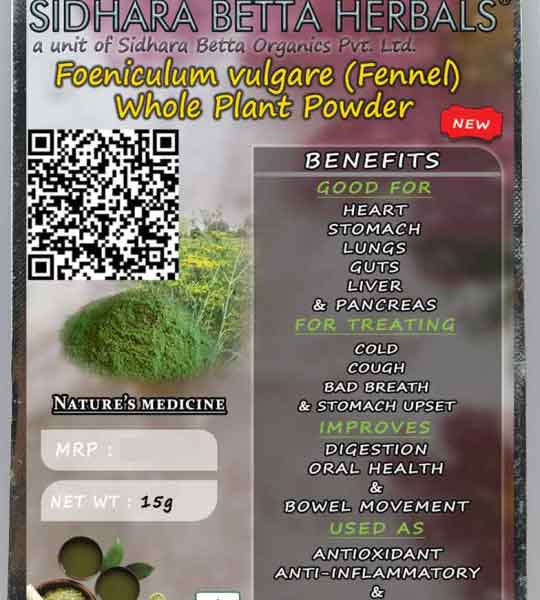 Foeniculum Vulgare Whole Plant Powder | Fennel Whole Plant Powder | Misreya | Madhurika