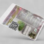 Foeniculum Vulgare Whole Plant Powder | Fennel Whole Plant Powder | Misreya | Madhurika